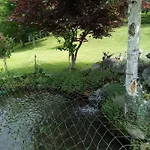 Del Laghetto Chiusa di Pesio
